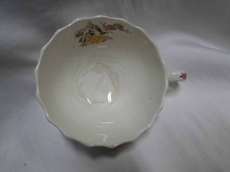 Spode Fairy Dell, Multicolored Florals, Swirl Rim: Cup & Saucer Set (s), As Is