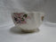 Spode Fairy Dell, Multicolored Florals, Swirl Rim: Cup & Saucer Set (s), As Is