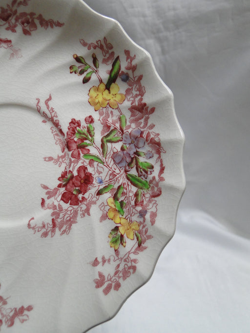 Spode Fairy Dell, Multicolored Florals, Swirl Rim: 5 5/8" Saucer Only, As Is