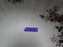 Royal Albert Lavender Rose, Pink, England: Cereal Bowl, 6 1/4" x 1 3/4"