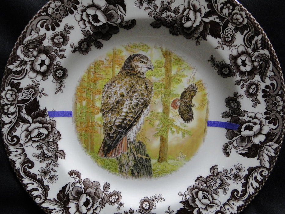 Spode Woodland Birds of Prey Autumn Red Tail Hawk: Dinner Plate 10 1/2", Flaw