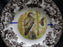 Spode Woodland Birds of Prey Autumn Red Tail Hawk: Dinner Plate 10 1/2", Flaw