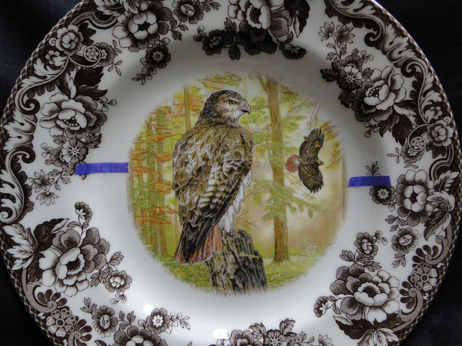 Spode Woodland Birds of Prey Autumn Red Tail Hawk: Dinner Plate 10 1/2", Flaw
