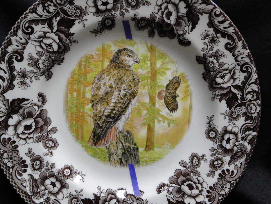 Spode Woodland Birds of Prey Autumn Red Tail Hawk: Dinner Plate 10 1/2", Flaw