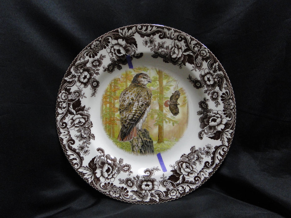 Spode Woodland Birds of Prey Autumn Red Tail Hawk: Dinner Plate 10 1/2", Flaw