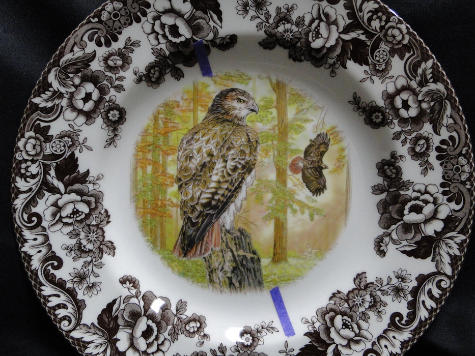 Spode Woodland Birds of Prey Autumn Red Tail Hawk: Dinner Plate 10 1/2", Flaw