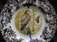Spode Woodland Birds of Prey Autumn Red Tail Hawk: Dinner Plate 10 1/2", Flaw