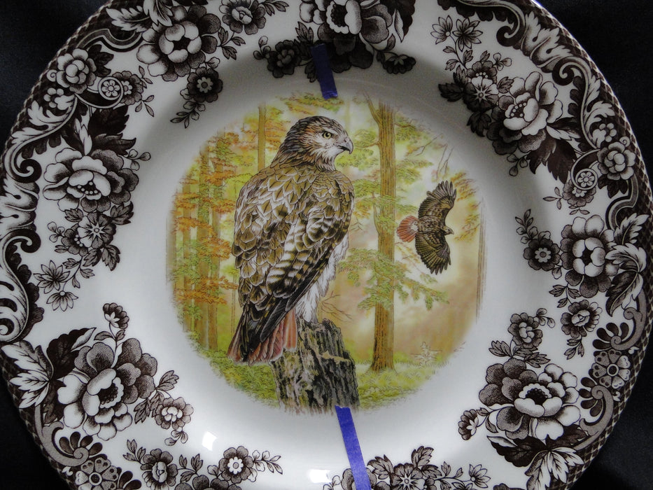 Spode Woodland Birds of Prey Autumn Red Tail Hawk: Dinner Plate 10 1/2", Flaw