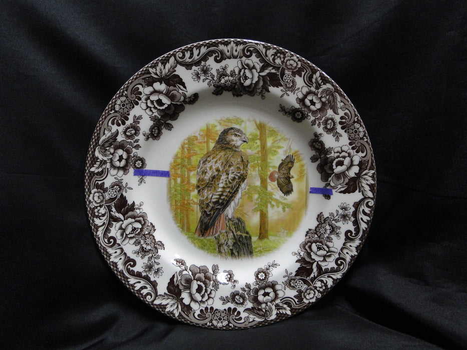 Spode Woodland Birds of Prey Autumn Red Tail Hawk: Dinner Plate 10 1/2", Flaw
