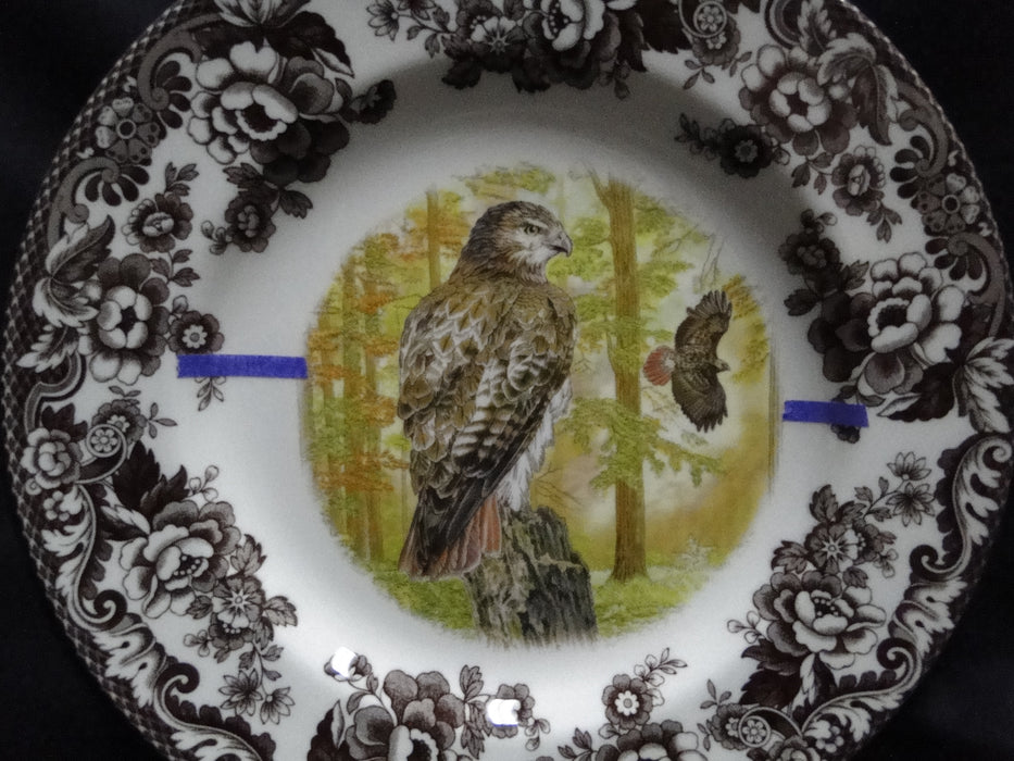 Spode Woodland Birds of Prey Autumn Red Tail Hawk: Dinner Plate 10 1/2", Flaw