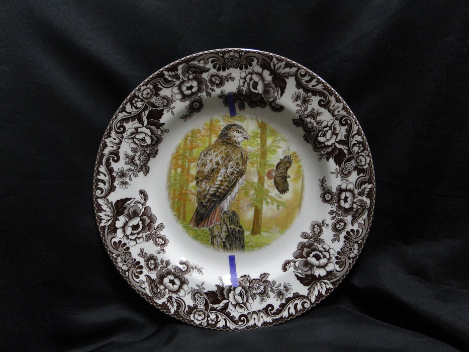 Spode Woodland Birds of Prey Autumn Red Tail Hawk: Dinner Plate 10 1/2", Flaw