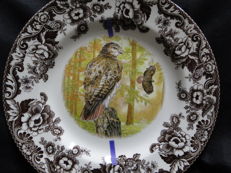 Spode Woodland Birds of Prey Autumn Red Tail Hawk: Dinner Plate 10 1/2", Flaw