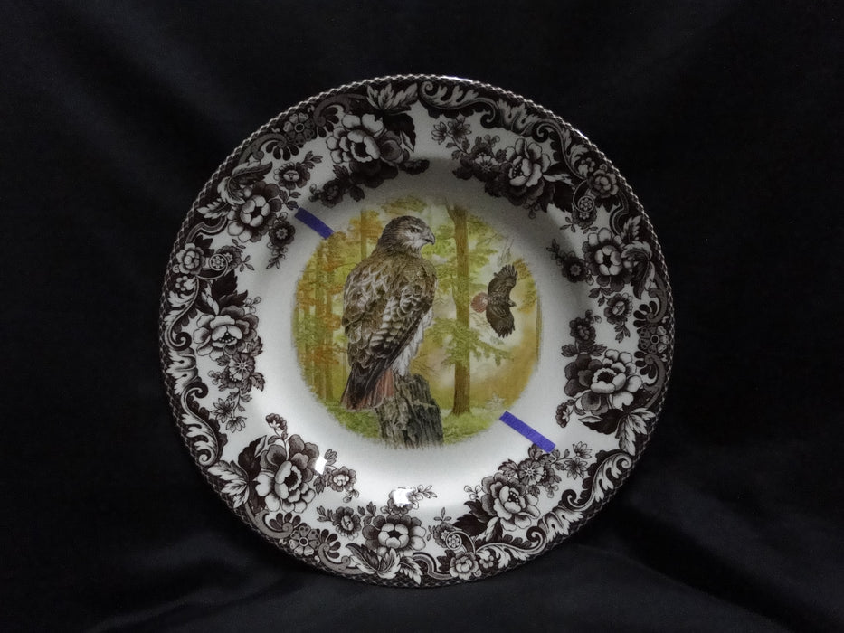 Spode Woodland Birds of Prey Autumn Red Tail Hawk: Dinner Plate 10 1/2", Flaw