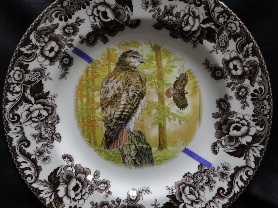 Spode Woodland Birds of Prey Autumn Red Tail Hawk: Dinner Plate 10 1/2", Flaw