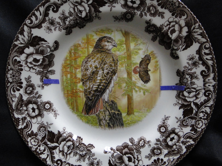 Spode Woodland Birds of Prey Autumn Red Tail Hawk: Dinner Plate 10 1/2", Flaw