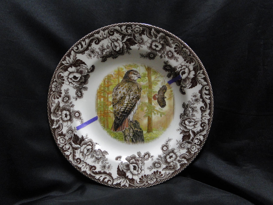Spode Woodland Birds of Prey Autumn Red Tail Hawk: Dinner Plate 10 1/2", Flaw