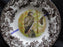 Spode Woodland Birds of Prey Autumn Red Tail Hawk: Dinner Plate 10 1/2", Flaw