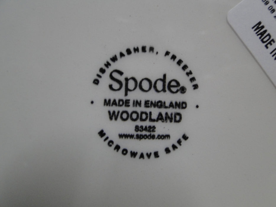 Spode Woodland Birds of Prey Autumn Red Tail Hawk: Dinner Plate 10 1/2", Flaw