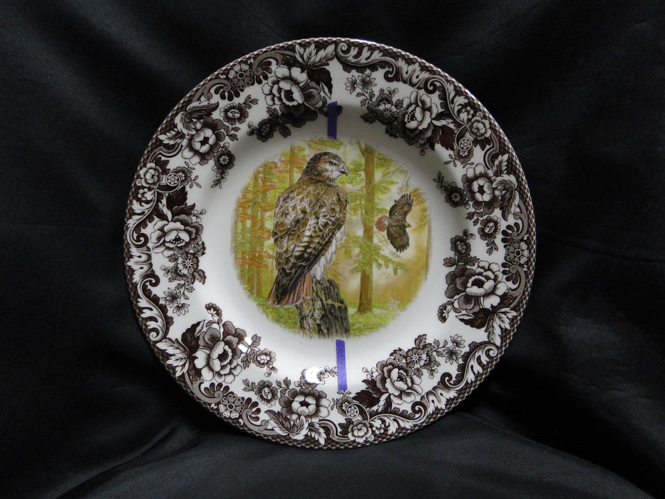 Spode Woodland Birds of Prey Autumn Red Tail Hawk: Dinner Plate 10 1/2", Flaw
