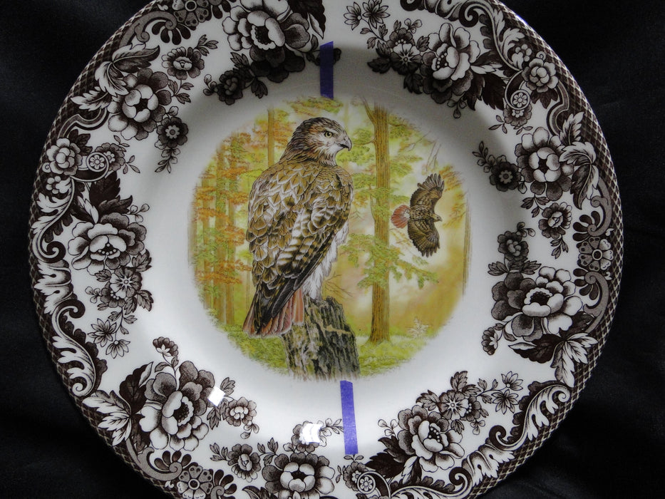 Spode Woodland Birds of Prey Autumn Red Tail Hawk: Dinner Plate 10 1/2", Flaw