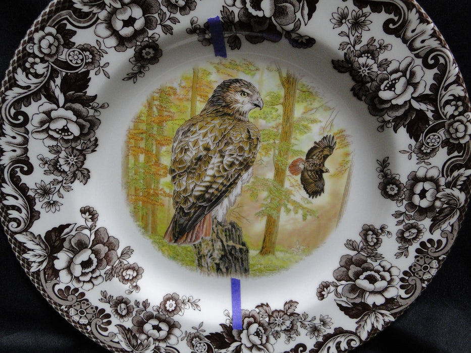 Spode Woodland Birds of Prey Autumn Red Tail Hawk: Dinner Plate 10 1/2", Flaw