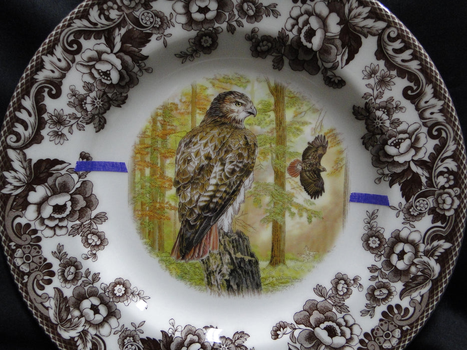 Spode Woodland Birds of Prey Autumn Red Tail Hawk: Dinner Plate 10 1/2", Flaw