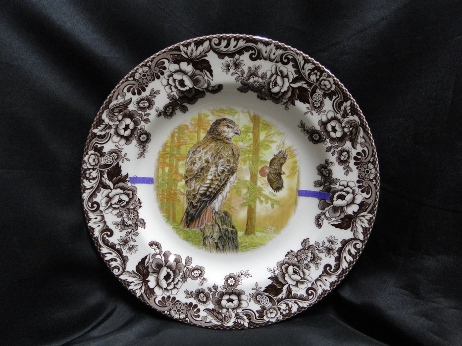 Spode Woodland Birds of Prey Autumn Red Tail Hawk: Dinner Plate 10 1/2", Flaw