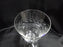 Tiffin Franciscan Mayflower, 17301: Etched Laurel Water Goblet, 6 1/4", As Is