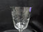 Tiffin Franciscan Mayflower, 17301: Etched Laurel Water Goblet, 6 1/4", As Is