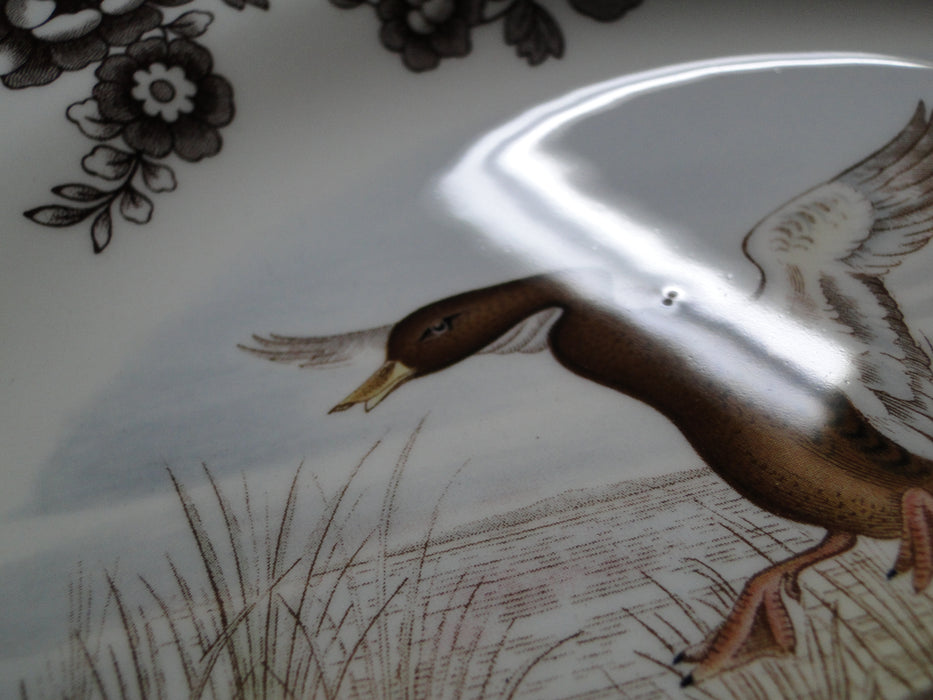Spode Woodland Mallard Duck, England: NEW Dinner Plate (s), 10 1/2", Box