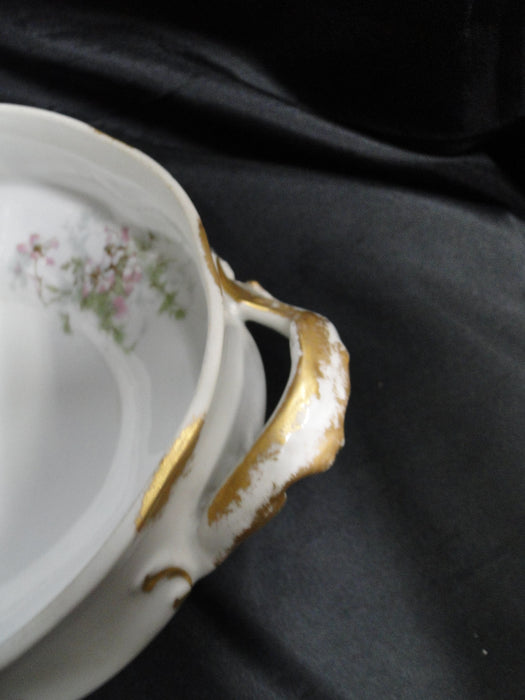 Haviland (Limoges) Schleiger 146, Gold Daubs: Oval Serving Bowl & Lid, As Is