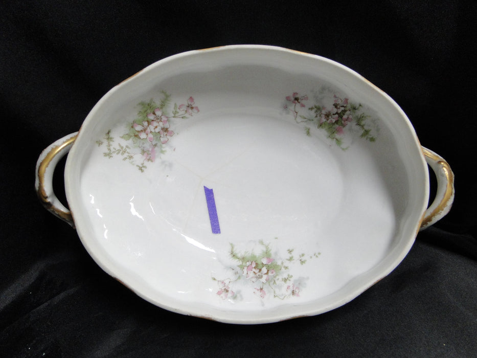 Haviland (Limoges) Schleiger 146, Gold Daubs: Oval Serving Bowl & Lid, As Is