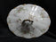 Haviland (Limoges) Schleiger 146, Gold Daubs: Oval Serving Bowl & Lid, As Is