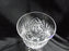 American Cut Eleanor, Pinwheel, Fan: Water or Wine Goblet (s), 7 1/4" As Is