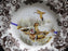 Spode Woodland Wood Duck: Dinner Plate, 10 1/2", Flaw