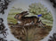 Spode Woodland Rabbit, Bunny, England: Dinner Plate, 10 1/2", Flaw