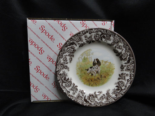 Spode Woodland English Springer Spaniel Hunting Dog: NEW Salad Plate, Box