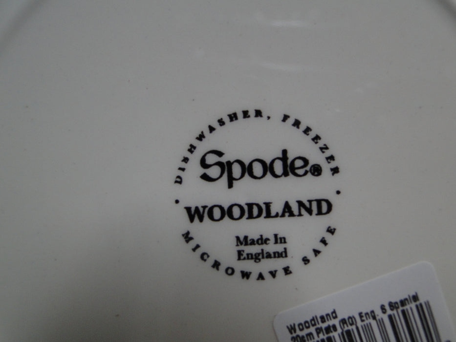 Spode Woodland English Springer Spaniel Hunting Dog: NEW Salad Plate, Box