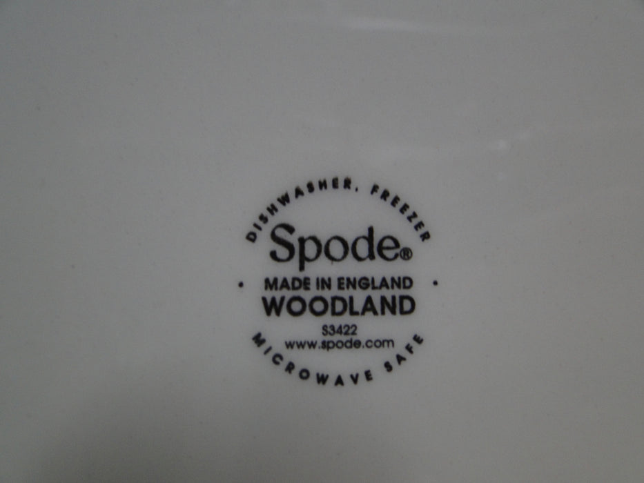 Spode Woodland English Springer Spaniel Hunting Dog: NEW Salad Plate, Box