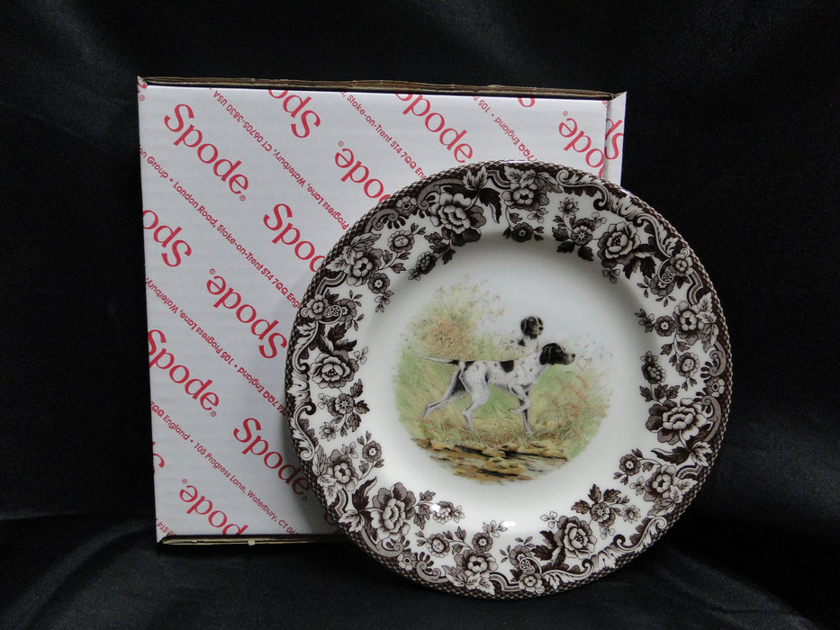 Spode Woodland Flat Coat Pointer Hunting Dog: NEW Salad Plate (s) 7 3/4", Box