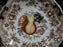 Johnson Brothers Harvest, Fruit, Brown Florals: Cup & Saucer Set, 2 1/4 Discolor