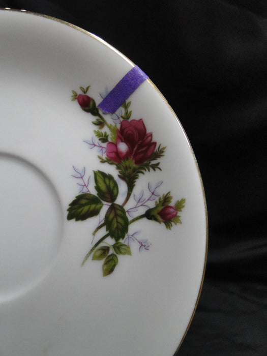 Mikasa Moss Rose 7288, Gold Trim: 6" Saucer (s) Only, No Cup, As Is