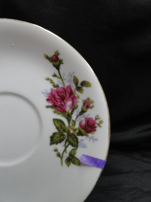 Mikasa Moss Rose 7288, Gold Trim: 6" Saucer (s) Only, No Cup, As Is