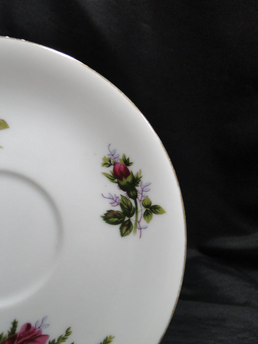 Mikasa Moss Rose 7288, Gold Trim: 6" Saucer (s) Only, No Cup, As Is