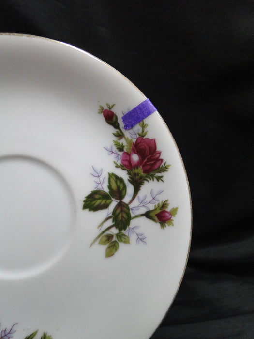 Mikasa Moss Rose 7288, Gold Trim: 6" Saucer (s) Only, No Cup, As Is