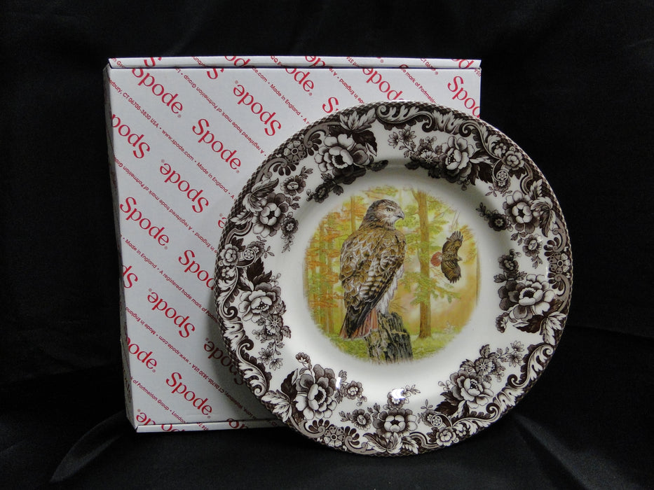 Spode Woodland Birds of Prey Autumn Red Tail Hawk: NEW Dinner Plate 10 1/2", Box