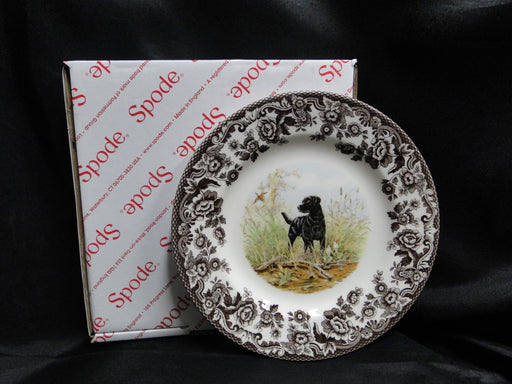 Spode Woodland Black Labrador Hunting Dog, England: NEW Salad Plate (s), Box