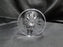 Waterford Crystal Lismore: Champagne Flute (s), 7 1/4" Tall, No Waterford Mark