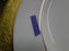 Wedgwood Ascot: White, Gold Encrusted: Dinner Plate (s), 10 3/4"