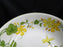 Villeroy & Boch Capuchina, Geranium, Yellow & Green: Round Serving Bowl (s), 8"